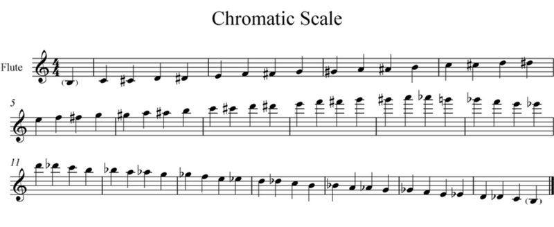 How many notes can you plan on a flute