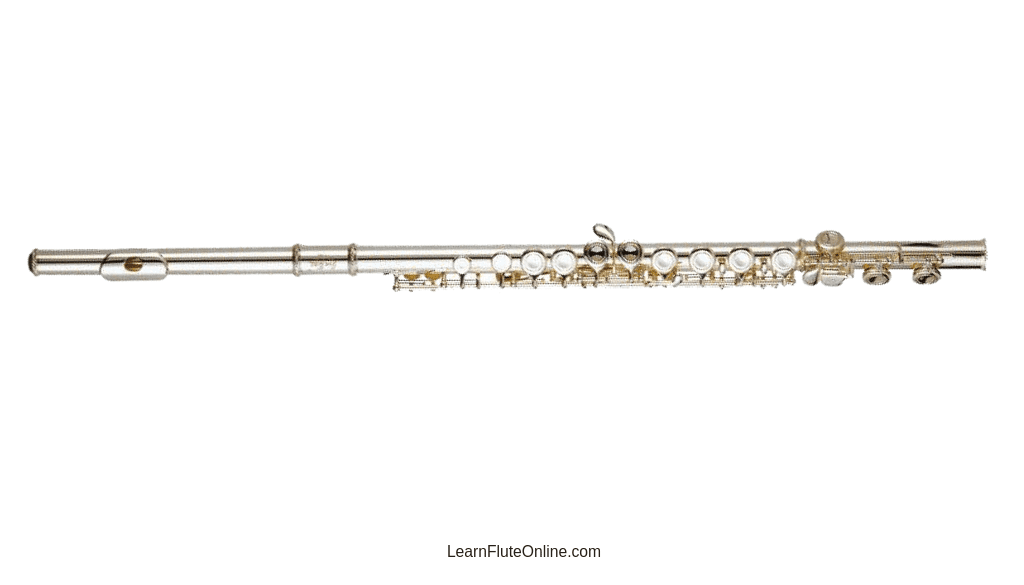 How to Know the Condition of My Flute