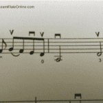 Can The Flute Play Violin Music?