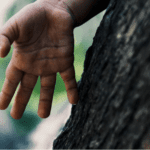 Fast Fingers Are Another Benefit of Flute Playing