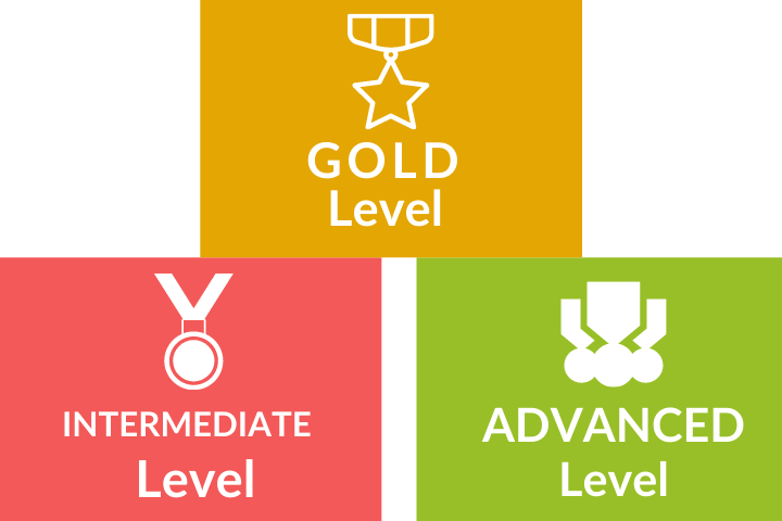 Gold Intermediate Advanced Flute Lesson Levels